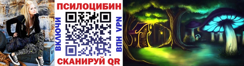 Псилоцибиновые грибы MAGIC MUSHROOMS  Купить где  Павлово 