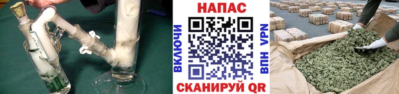 Купить закладки  Павлово  Марихуана ГИДРОПОН 